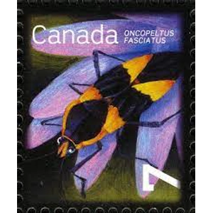 Canada   2010   7 cents