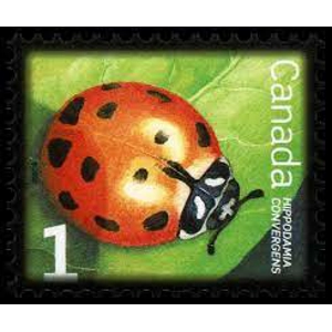 2010  Canada    1 Cent  used