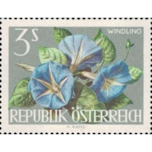 1964 Austria 3 S MNH