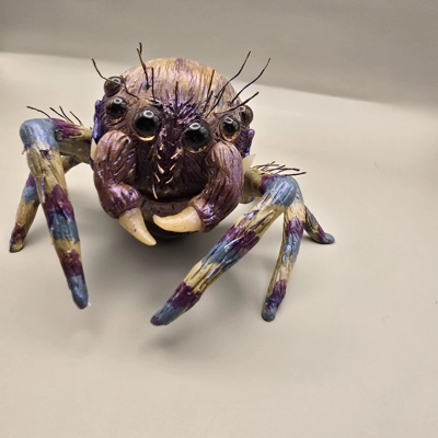 Jumping Spider - Peacock Jumping  Spider