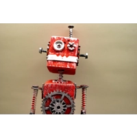 Robot  "Red"