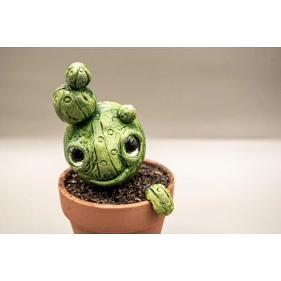 Little Cute Succulent