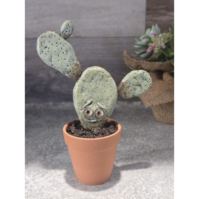 Prickly Pear Cactus