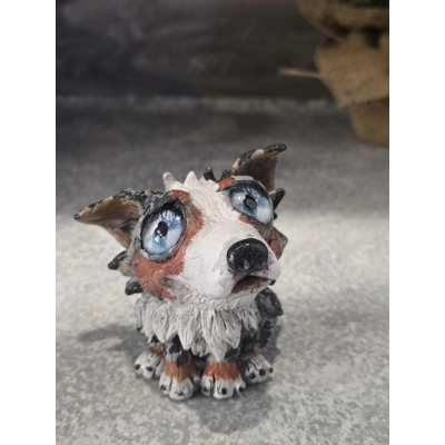 Australian Shepherd