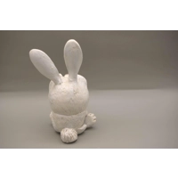 Bunny  white