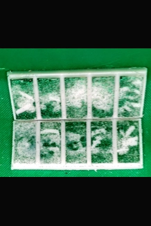 Cucumber Melon Snap Bar