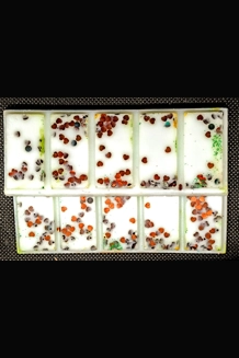 Custom Snap Bar Wax Melt