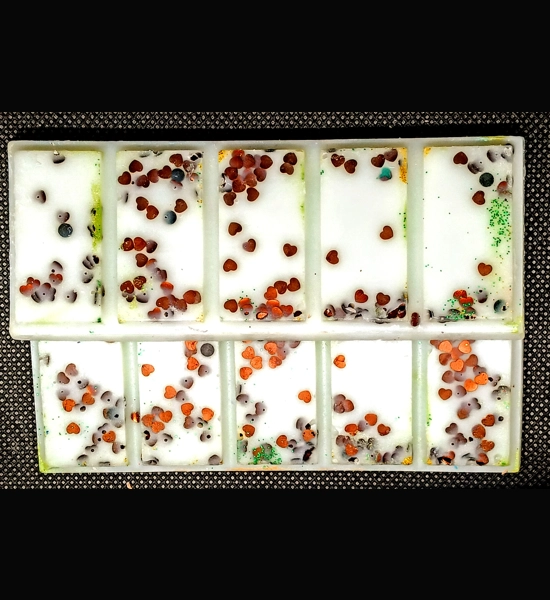 Custom Snap Bar Wax Melt