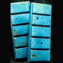 Sea Life Snap Bar