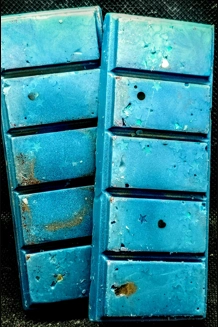 Sea Life Snap Bar Sea Life Snap Bar