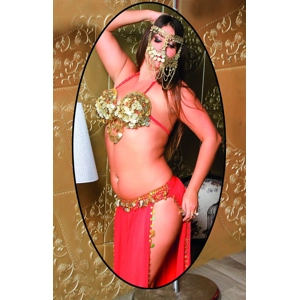 Two Pieces Belly Dancing Costume Coins Bra & Skirt
