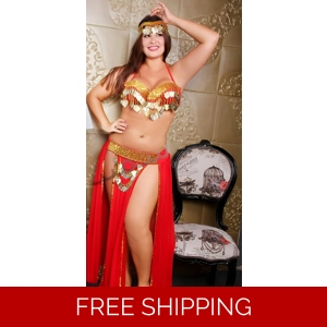 Professional Belly Dancing Costume Two Pieces Embroidered Bra & Skirt Chiffon