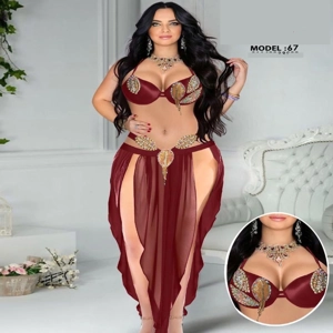 Arabian Style Belly Dance Costume Transparent Pants& Bra