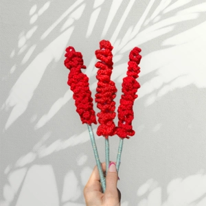 Red Crochet Flower