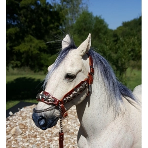 3 stars show halter with lead