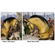 Akhal-Teke bridle or bosal