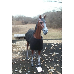 black stable blanket