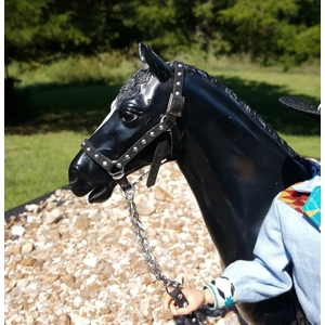 black w spots show halter and lead