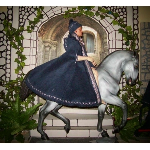 Blue and silver cloak SALE!