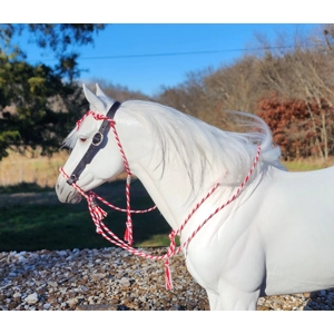 Fancy red bosal