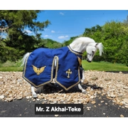 Navy and gold caparison