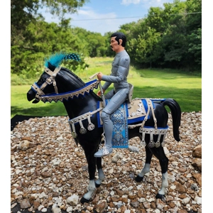 Medieval/fantasy saddle set # 7