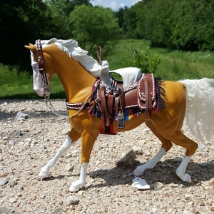 Mexican sidesaddle #2