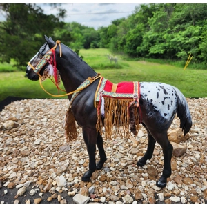 # 34 Native American tack set