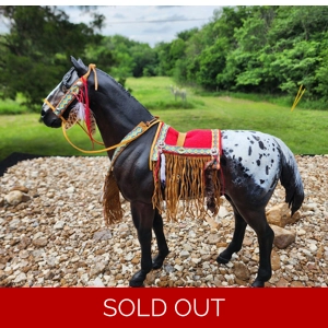 # 34 Native American tack set