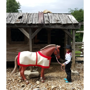 Pancho blanket and halter