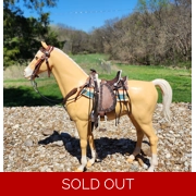 saddle set #134  for Kay