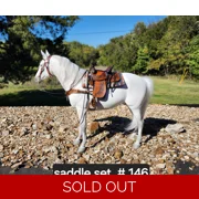 #146 Saddle set