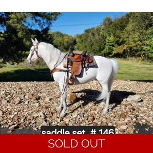 #146 Saddle set