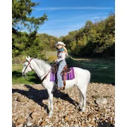 # 147 saddle set