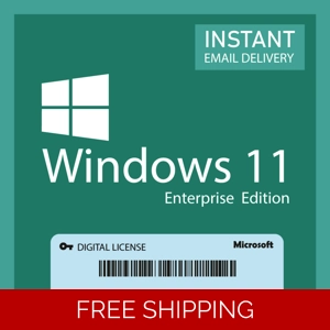 Windows 11 Enterprise License Key,  For 1 Device Activation