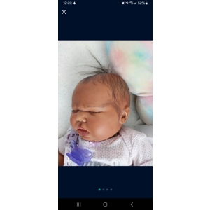 Harlow by Bountiful Baby