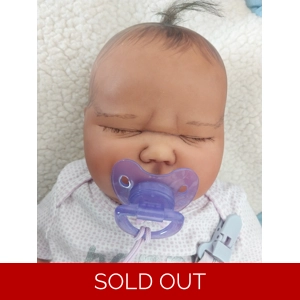 Harlow by Bountiful Baby