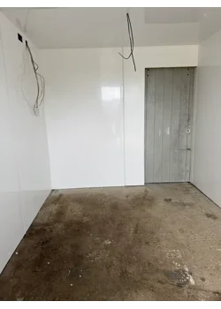 Transforming the Old Toolshed: A Fresh Start