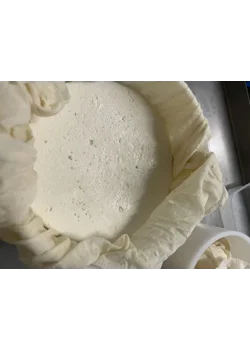 Day 2 making sheep cheese