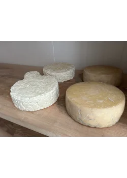 Cheese availability -  Sales balancing Making, Maturing and Selling