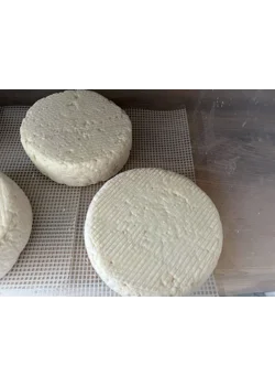 Maturing sheep cheese