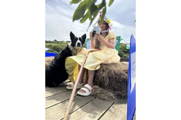 Crackington Haven carnival