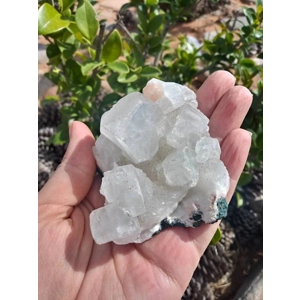 5 oz. Apophyllite Crystal Cluster Zeolite Specimen from Jalgaon India. India Mineral. Z8. You get th