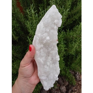 1.77 Lb Apophyllite Crystal Cluster Specimen from India. You get this piece!