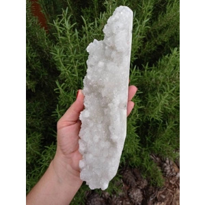 1.77 Lb Apophyllite Crystal Cluster Specimen from India. You get this piece!