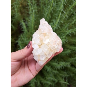 6.19 oz. Apophyllite Crystal Cluster Zeolite Specimen from Jalgaon India Mineral. Z45. You get this