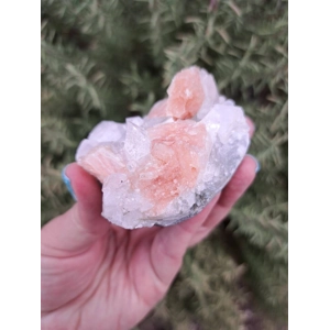 5.5 oz. Clear Apophyllite with Stilbite Crystal Cluster from India. Z63. You get this piece!