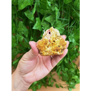 4.47 oz Two Piece Crystal Geode from Marrakech Morroco. Boytroidal Crystal Geode. One of a kind Geod