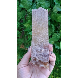 8.45 oz. Natural Golden Selenite Crystal Flame Slab Self Collected in Southern Arizona. You get this