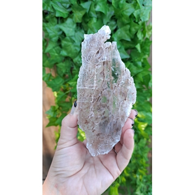 8.39 oz. Natural Selenite Crystal Slab Self Collected in Southern Arizona. Large Raw Optical Selenit